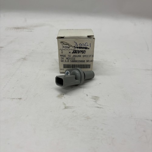 Jaguar type diesel land - jaguar,