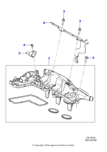 Jaguar genuine camshaft - jaguar, cover